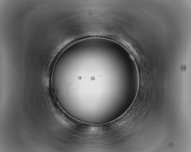 X0000100380060200806131109
