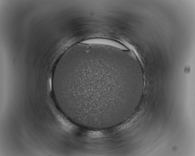 X0000100380061200806131109