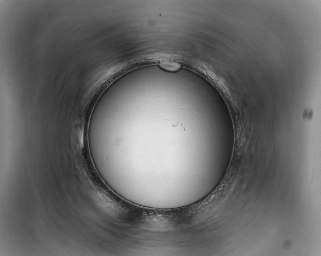 X0000100380062200806131109