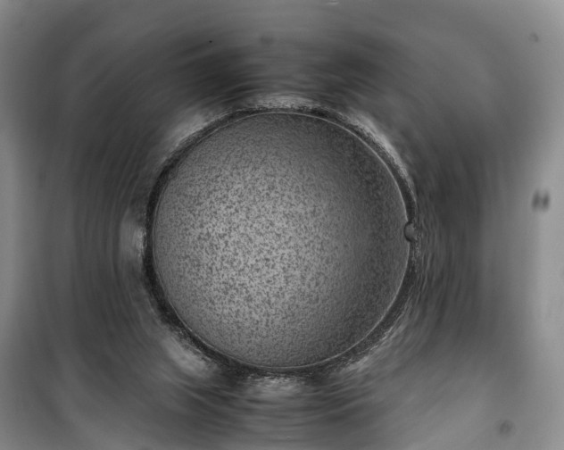 X0000100380063200806131109