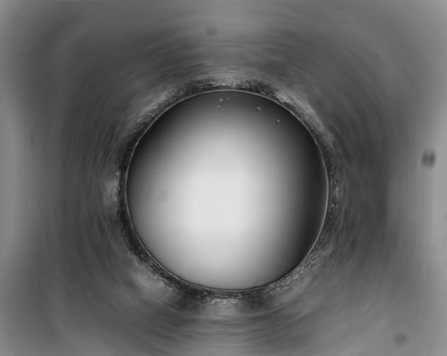 X0000100380066200806131109