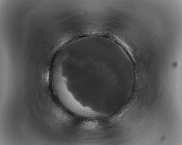 X0000100380067200806131109
