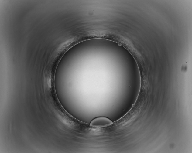 X0000100380068200806131109