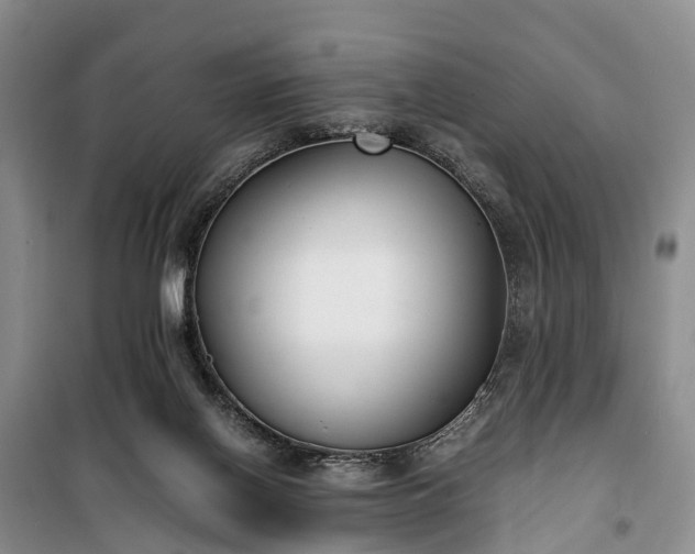 X0000100380070200806131109