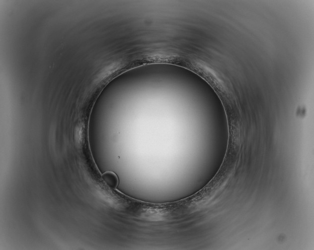 X0000100380071200806131109