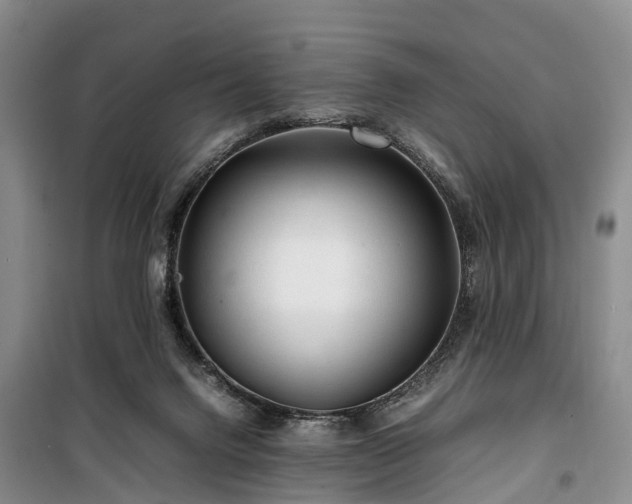 X0000100380072200806131109