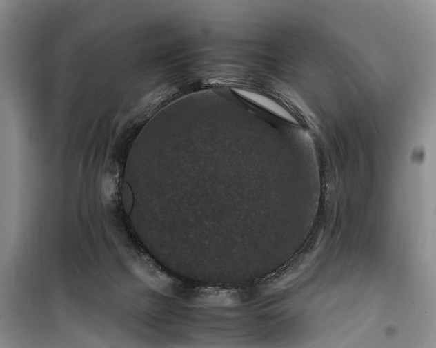 X0000100380073200806131109