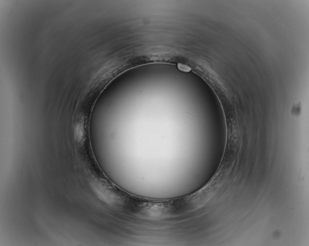 X0000100380074200806131109