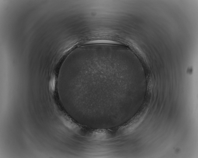 X0000100380076200806131109