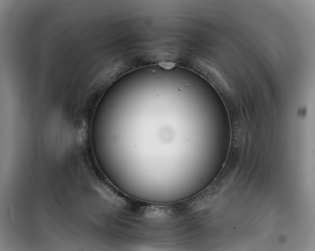 X0000100380077200806131109