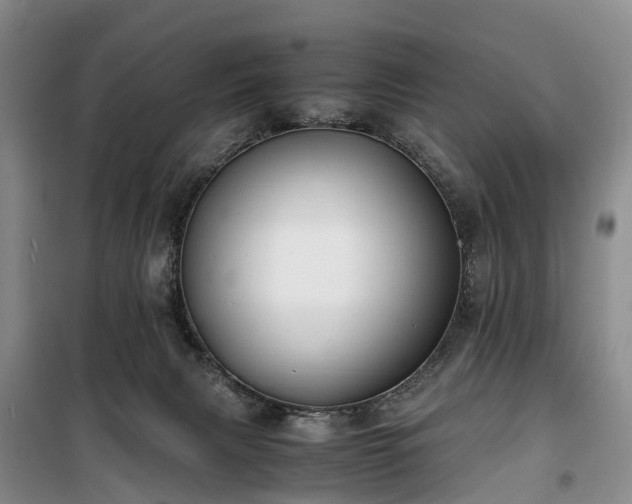 X0000100380079200806131109