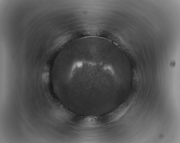 X0000100380080200806131109