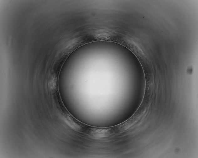 X0000100380081200806131109