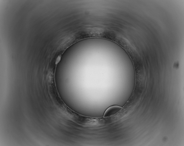 X0000100380083200806131109