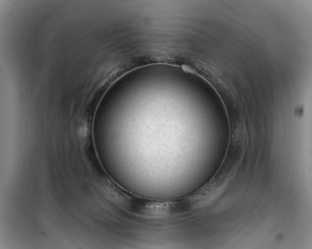 X0000100380084200806131109