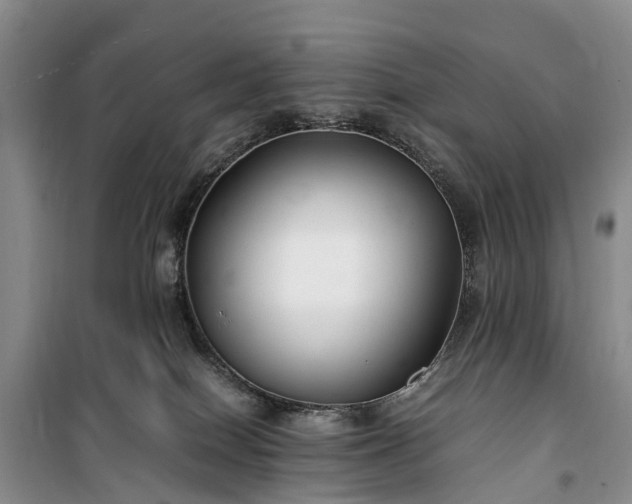 X0000100380086200806131109