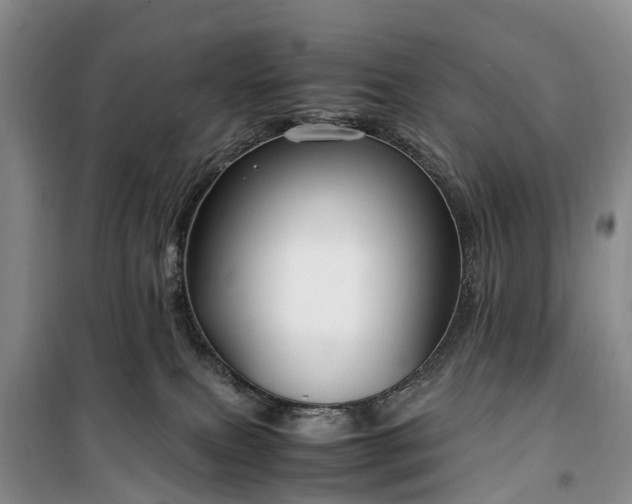 X0000100380087200806131109