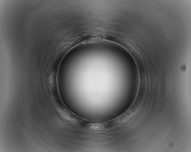X0000100380088200806131109