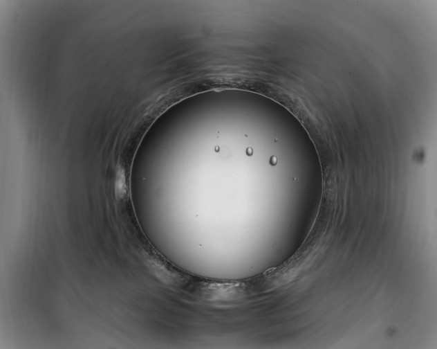 X0000100380089200806131109