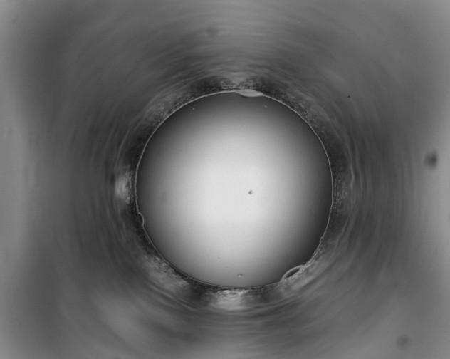 X0000100380090200806131109