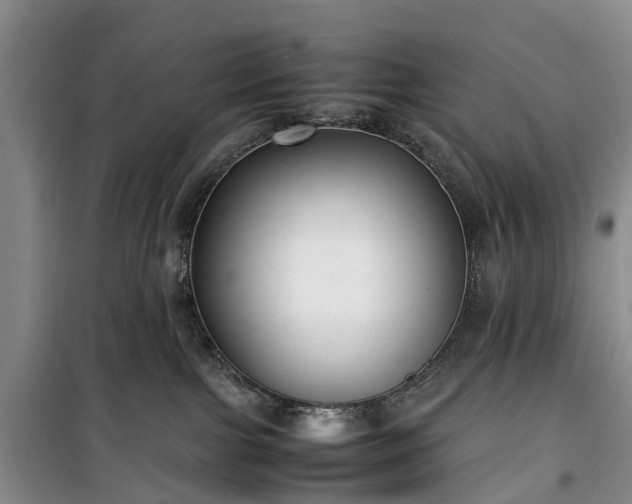 X0000100380091200806131109