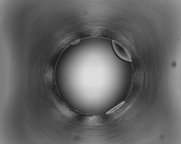 X0000100380092200806131109