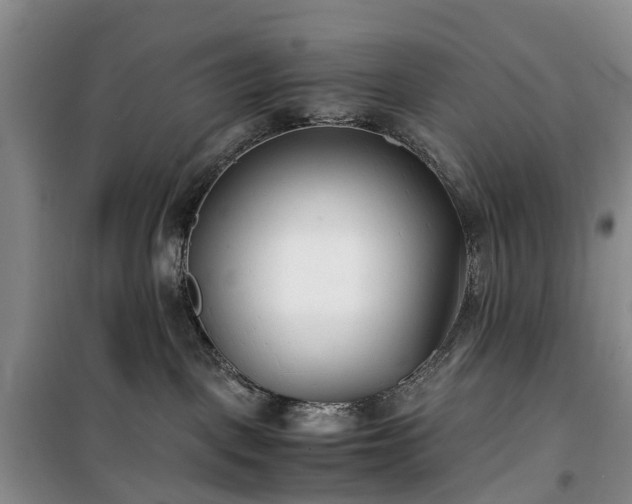 X0000100380093200806131109