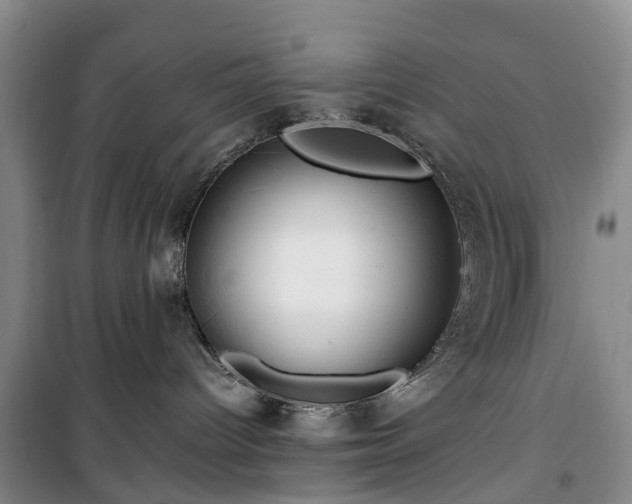 X0000100380096200806131109