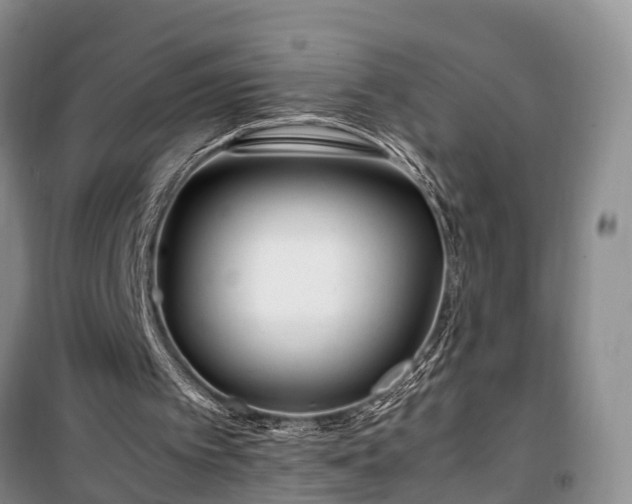 X0000100380097200806131108