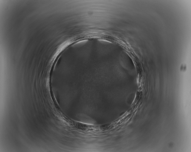 X0000100380099200806131108