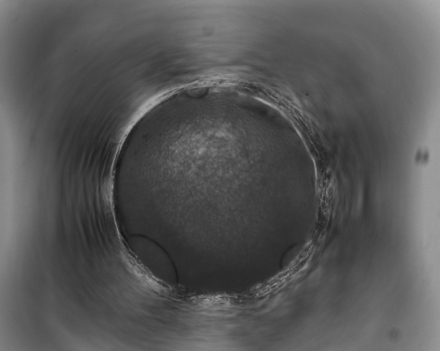 X0000100380100200806131108