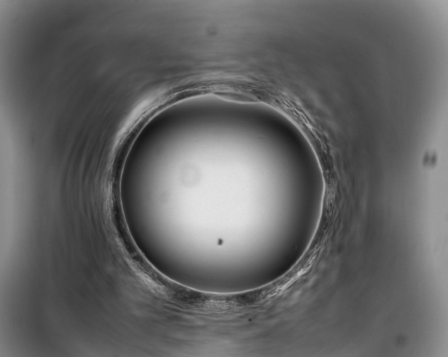 X0000100380101200806131108