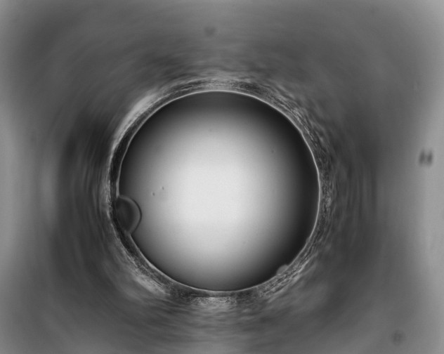 X0000100380102200806131108