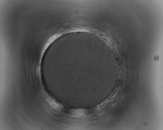 X0000100380104200806131108