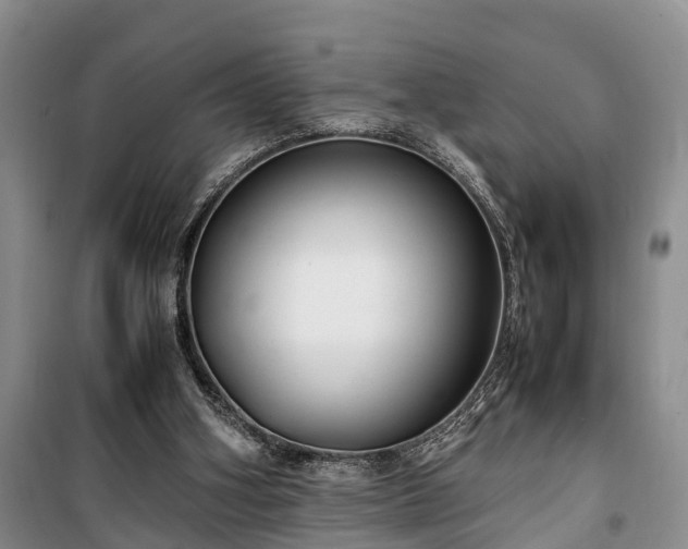 X0000100380106200806131108