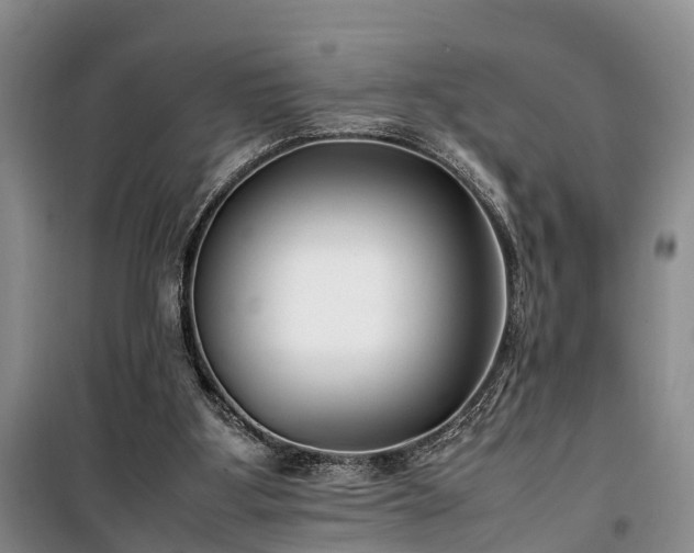 X0000100380107200806131108