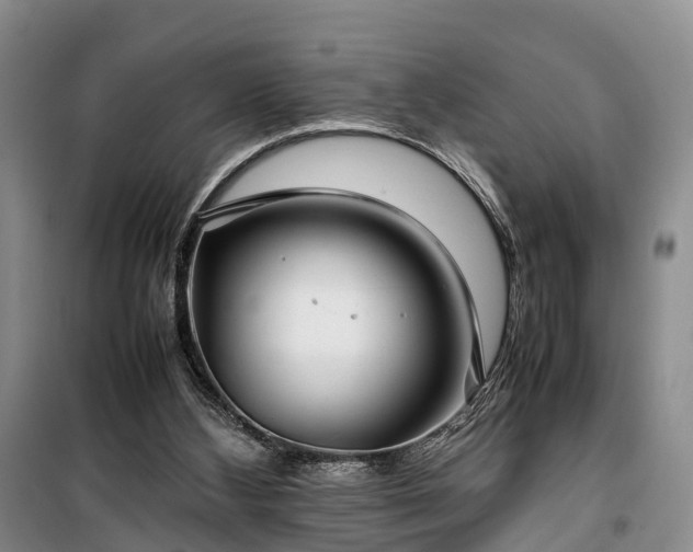 X0000100380108200806131108