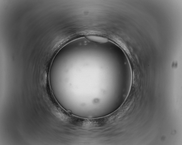 X0000100380109200806131108