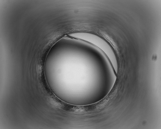 X0000100380113200806131108