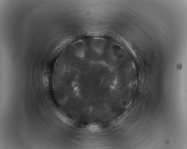 X0000100380114200806131108