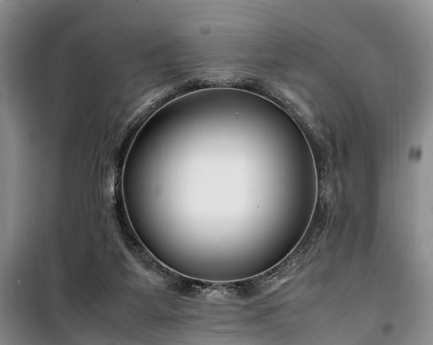 X0000100380115200806131108