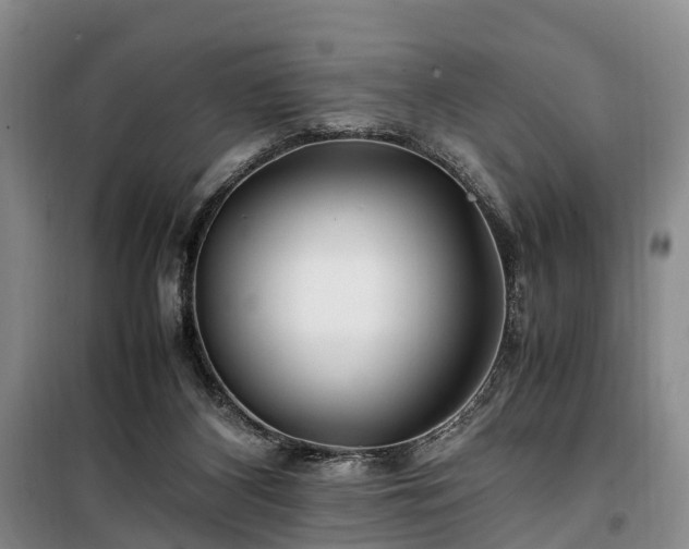 X0000100380116200806131108