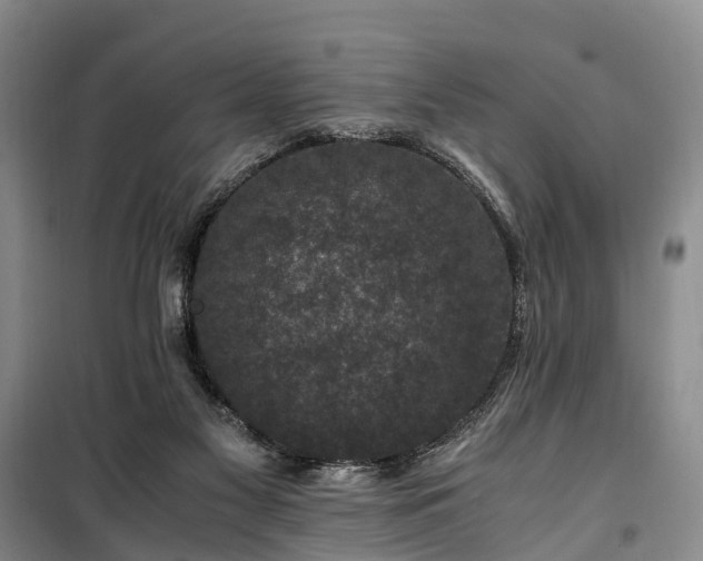 X0000100380117200806131108