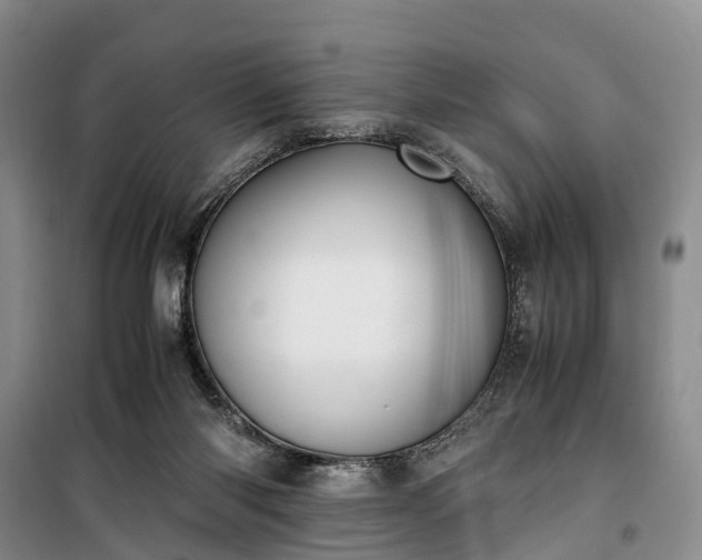 X0000100380118200806131108