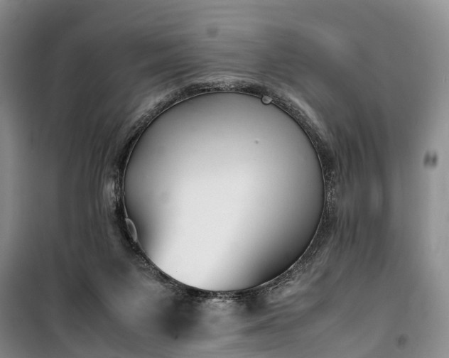 X0000100380119200806131108