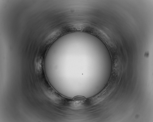X0000100380122200806131108