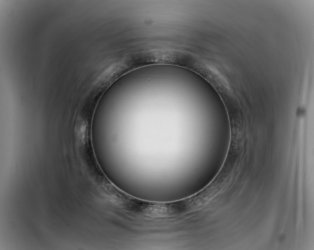 X0000100380123200806131108
