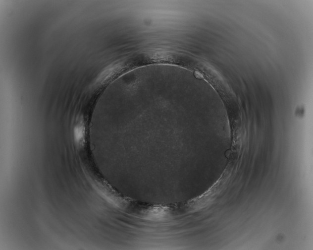 X0000100380124200806131108