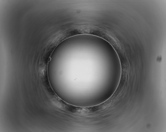 X0000100380125200806131108