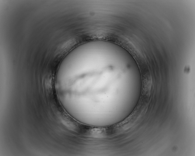 X0000100380126200806131108